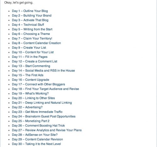 The 30 Day Action Plan