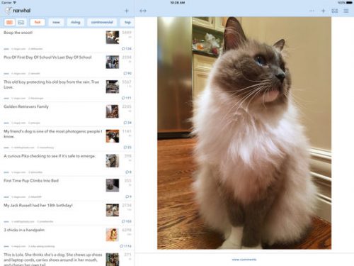 reddit ios client