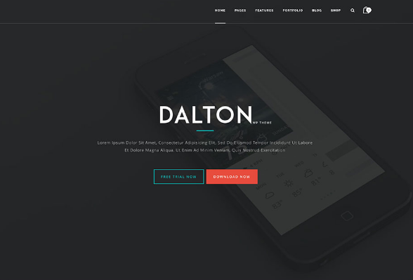 Dalton theme