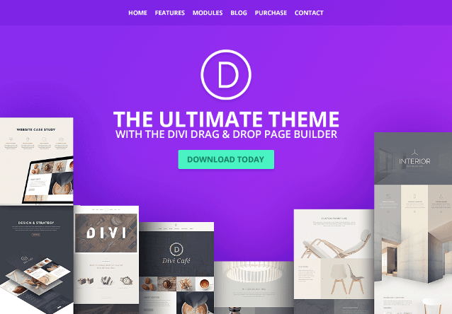 Divi WordPress Theme